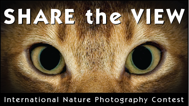 Share the View - International Nature Photo Contest