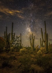 Lewis Mazzuca photo