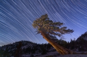 Star Swept - Yosemite National Park, California