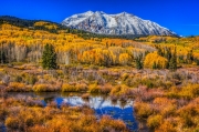 Fall Colors with Snow Covered Beckwith Mountain - Kebler Pass, Crested Butte, Colorado