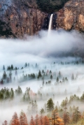 Into the Mist - Yosemite National Park, CA