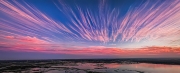 Striped Sunset - Aransas Co., TX