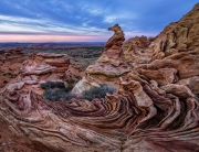 The  horse at Coyote Buttes - North Coyote Buttes, Utah,USA