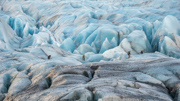 Glacier explorers - Iceland