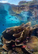 Kaleidoscope of Colour - Solomon Islands