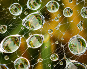 Small World - Colorado