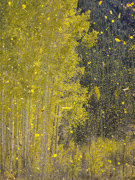 Blown Away - San Juan Mountains, Colorado