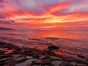 Sunset Turtle - Oahu, Hawaii