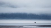 Wild Alaska solitude - Chinitna Bay, Alaska