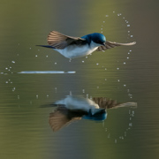 Having fun with Waterdroops - Charleston SC